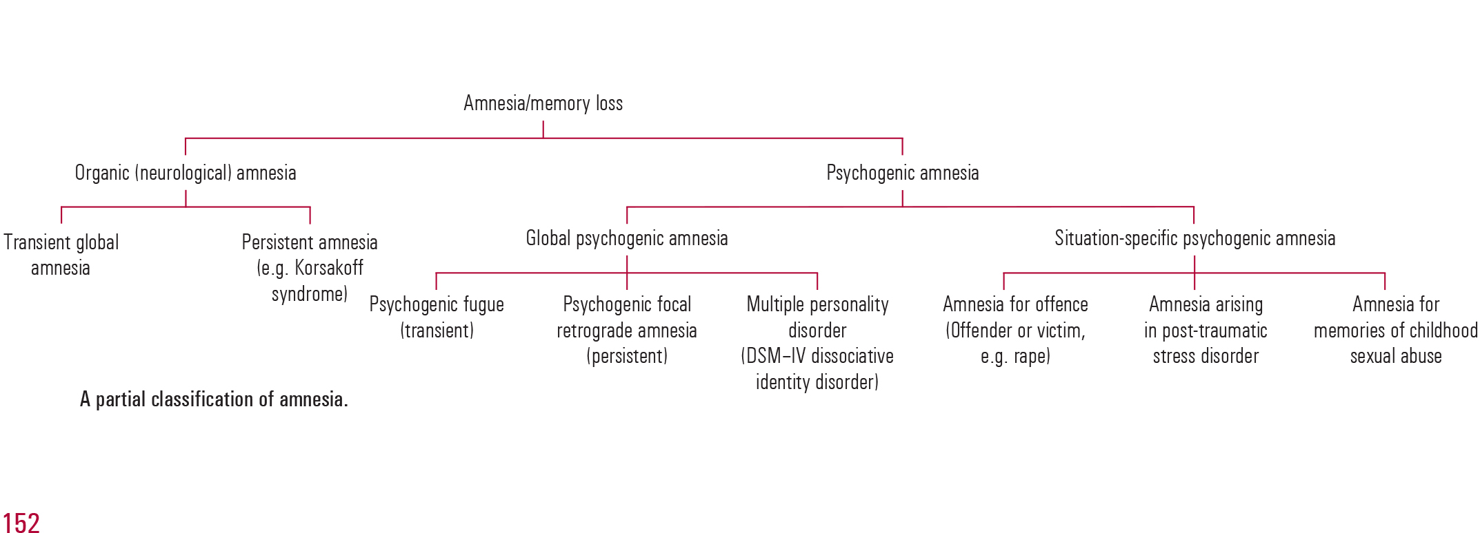 amnesia vs dementia